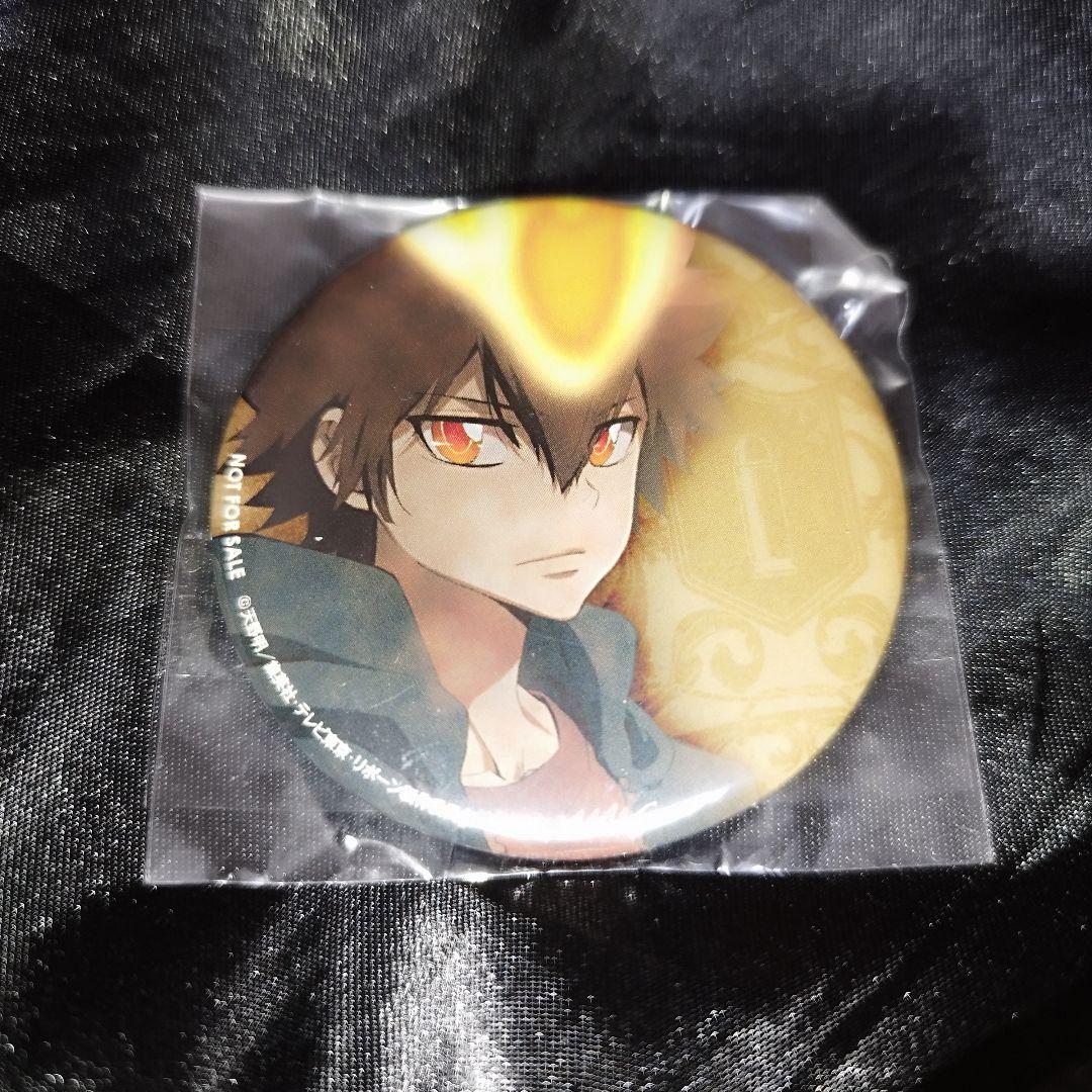 家庭教師ヒットマンREBORN! リボーン 沢田綱吉 ツナ 缶バッジ グッズ