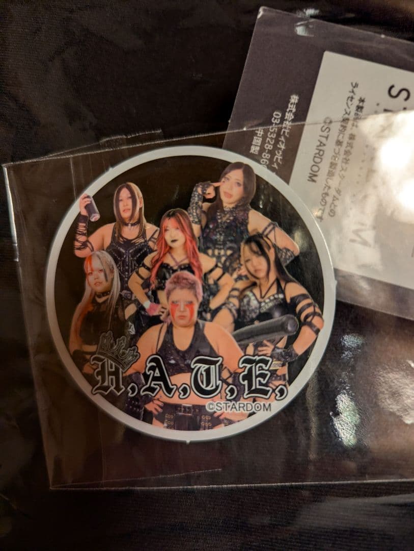 スターダム　上谷沙弥　スウェット上下　Ｌ　ジップパーカー&ジョガーパンツ