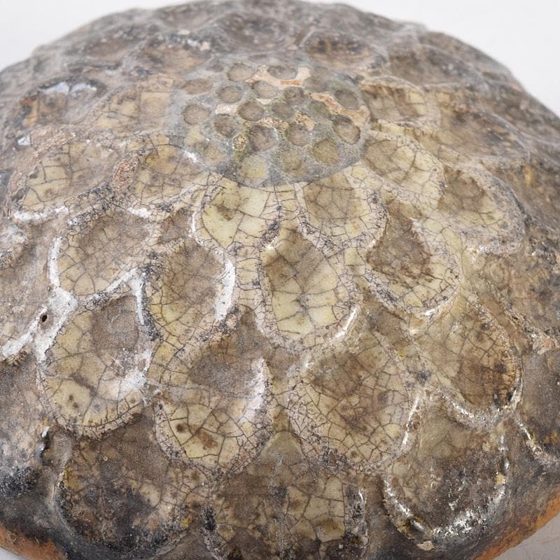 茶道具　大樋焼　菊形　香合　時代箱　N　7468