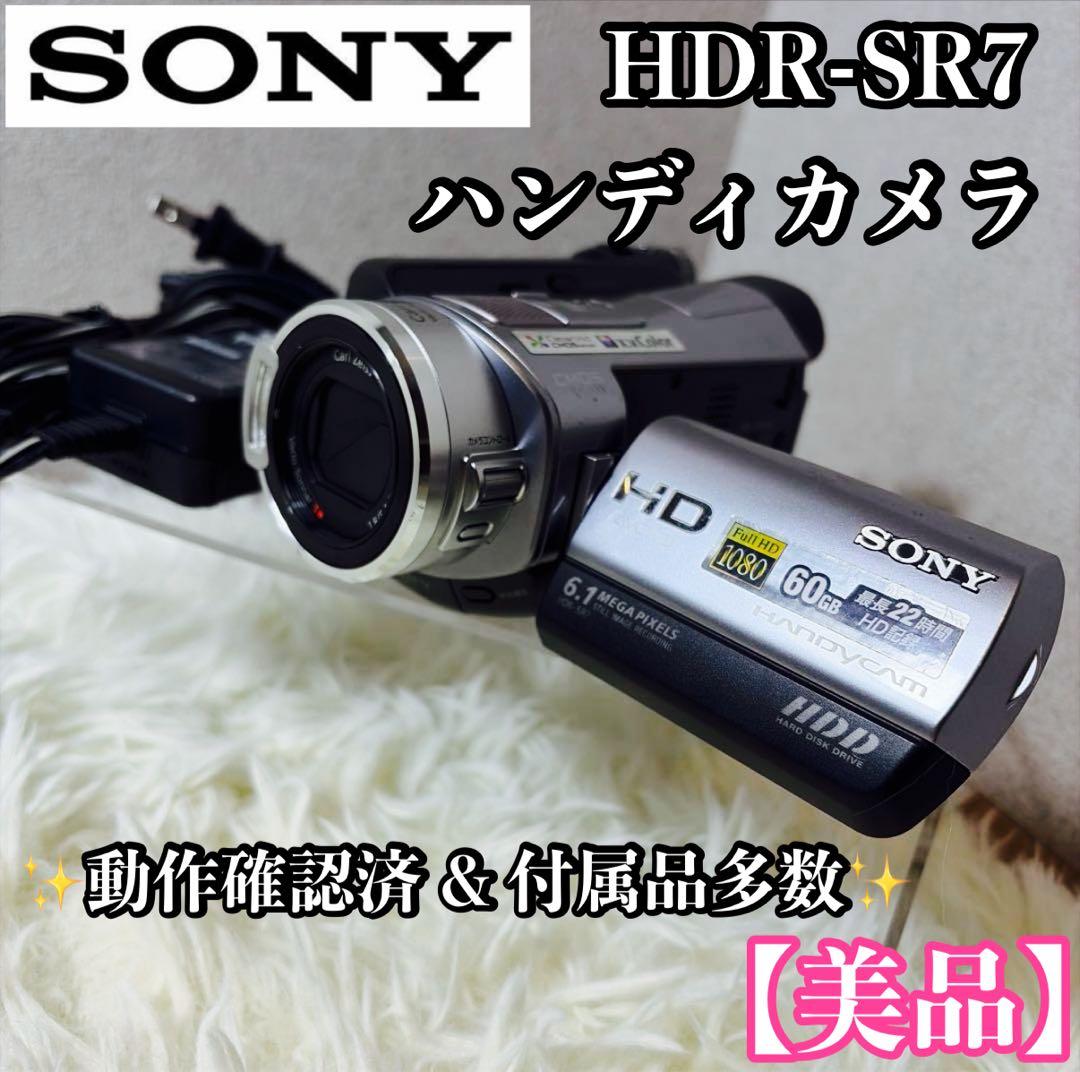 美品】SONY Handycam HDR-SR7付属品多数 - メルカリ