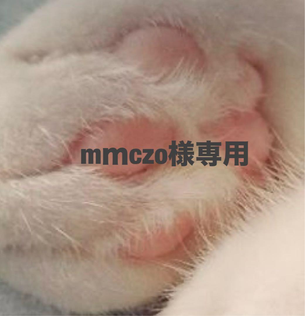 【BURBERRY】バーバリー　クロスボディバッグ赤