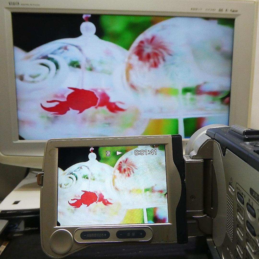 動作品ソニー DCR-TRV30 MiniDVビデオカメラ　DVDダビングに最適