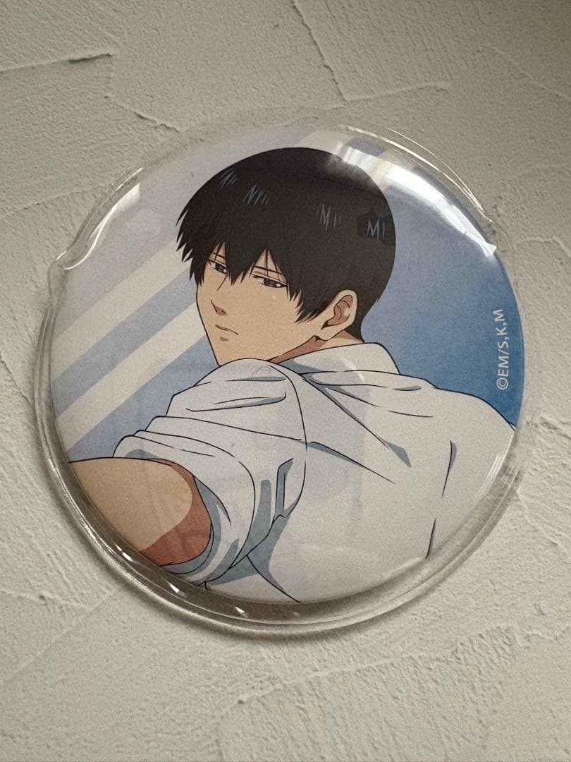 忘却バッテリー清峰葉流火 TSUTAYA ぬいぐるみといっしょ 缶バッジ 20