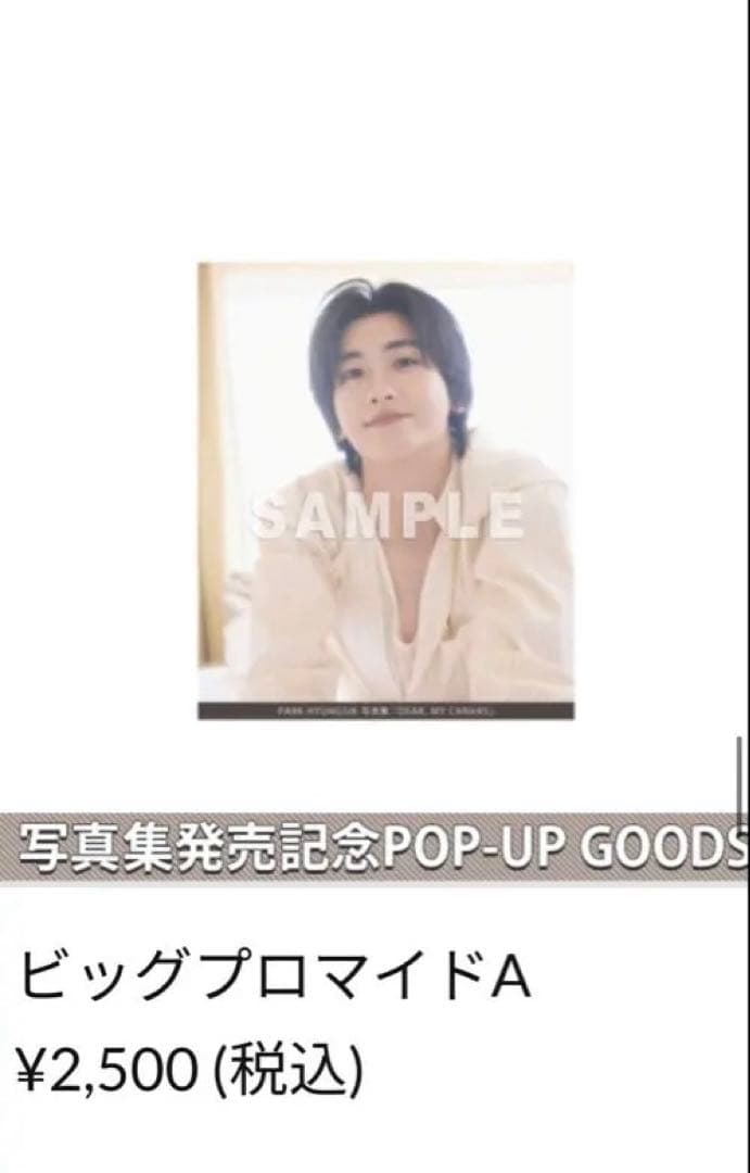 パクヒョンシク　Singls雑誌とビッグプロマイド3枚