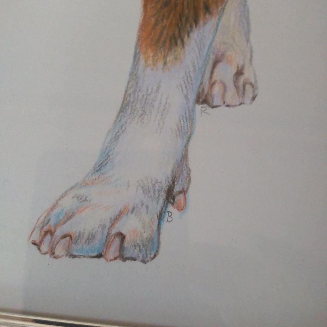 チャールズ・リン・ブラッグ　犬　色鉛筆画　5号