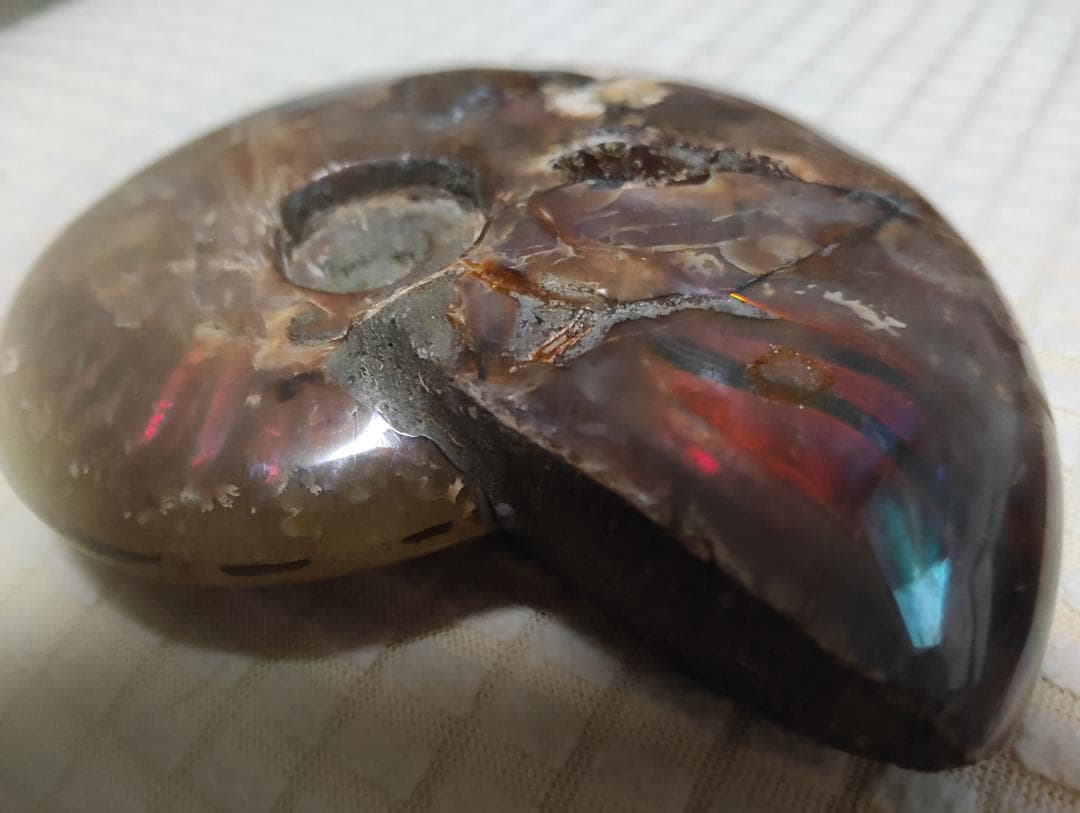 化石 アンモナイト オパール化 遊色 レインボー3点 9800an0814