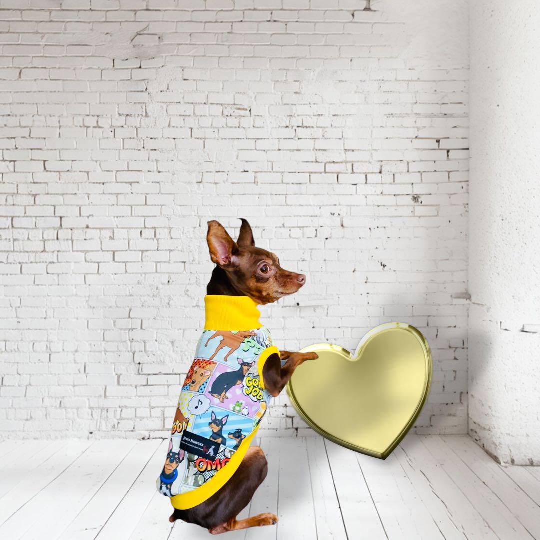 ミニピン、ミニピンを纏う イタグレ、イタグレを纏う 状況把握してなく