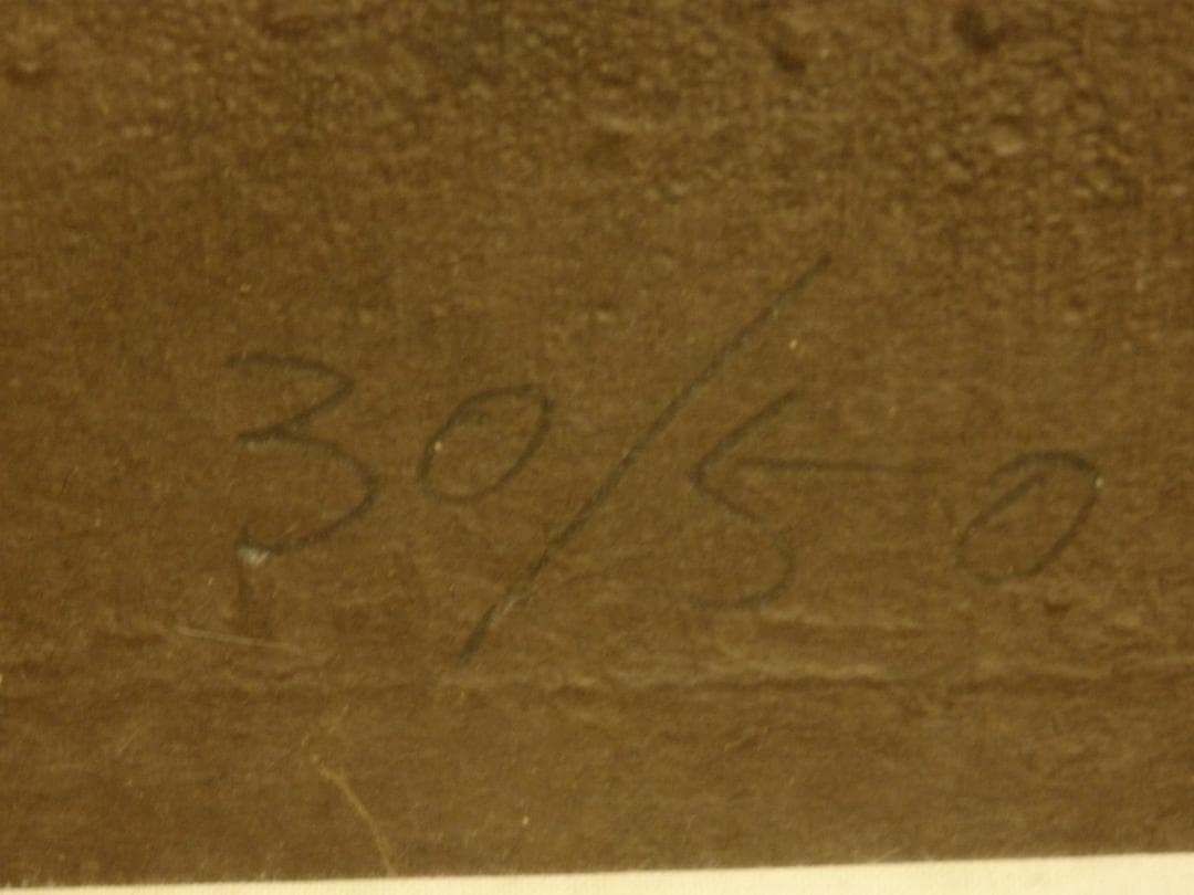 Ha Bik Chuenハ・ビクチュエン、香港現代アート