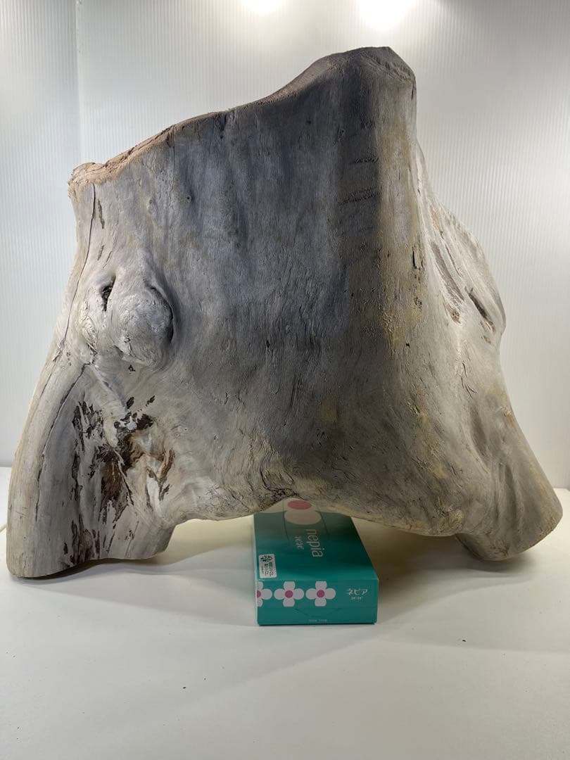 r86特大流木 アク抜き済み 爬虫類シェルター インテリア オブジェ