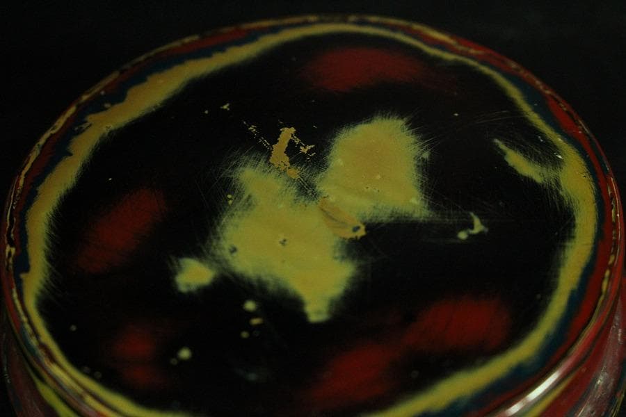 乾漆 色漆堆朱 茶器 香合 雪松作 共箱 未使用(K-A641) - メルカリ