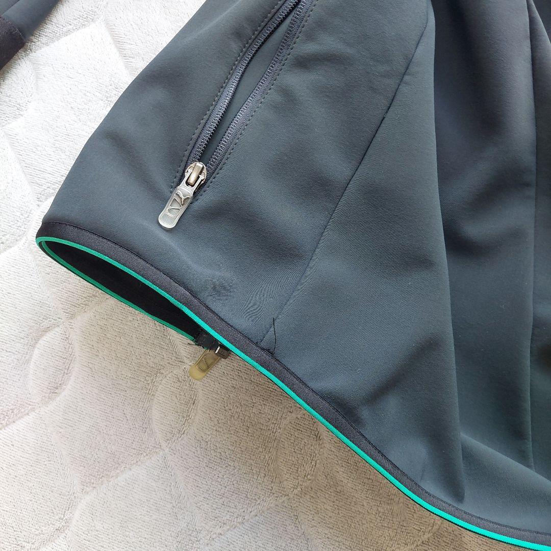 【ルークラリン】ペトロナスメルセデス AMG2014 ソフトシェル