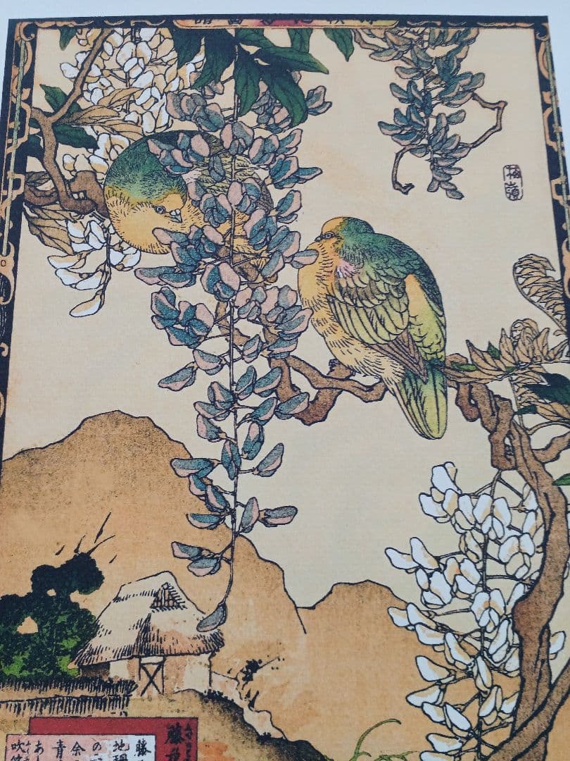 江戸屋版 媒嶺花鳥画譜第1編 27図 手作り古画修復 浮世絵風 これぞ花鳥