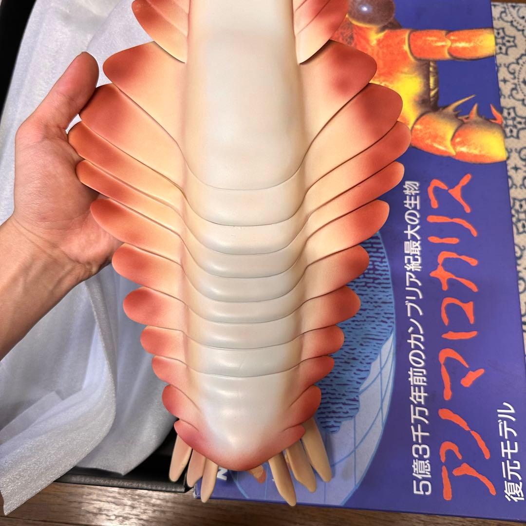 カンブリア紀 アノマロカリス フィギュア 化石 復元モデル NHK