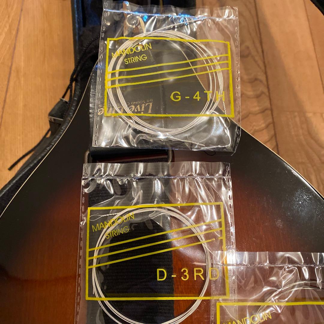 弦楽器 ARIA Mandolin