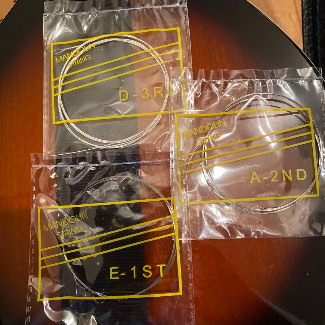 弦楽器 ARIA Mandolin