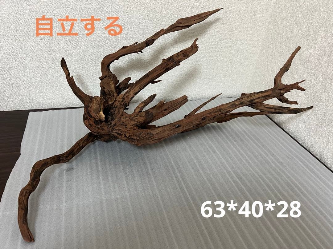 HX-083 流木 ホーンウッド マシンガンウッド アクアリウム ブランチ