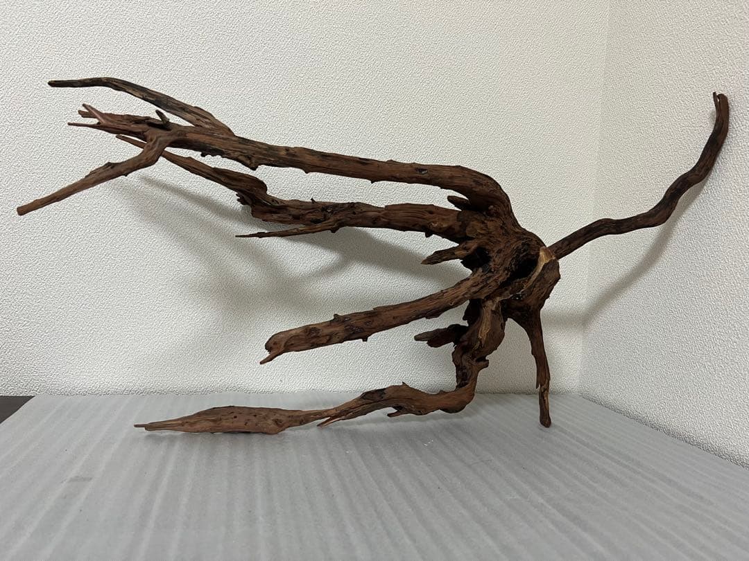 HX-083 流木 ホーンウッド マシンガンウッド アクアリウム ブランチ