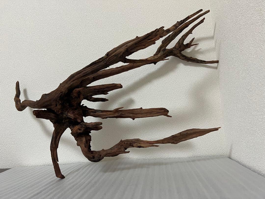 HX-083 流木 ホーンウッド マシンガンウッド アクアリウム ブランチ