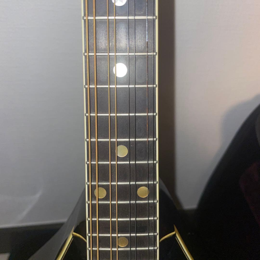 訳あり Eastman MD505　マンドリン ハードケース付き