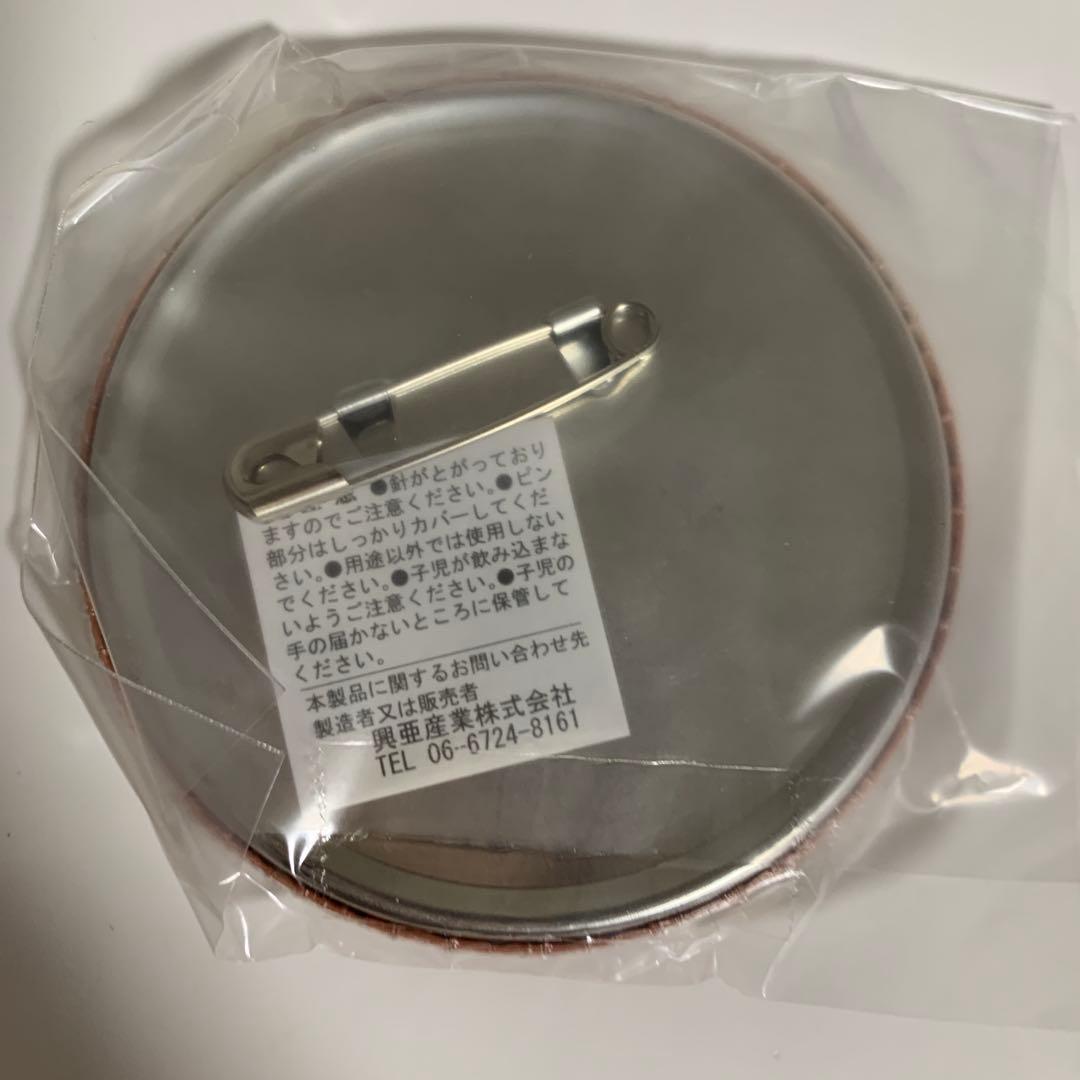 缶バッジ　セット　ナムコ・ナンジャタウン　マクロスf