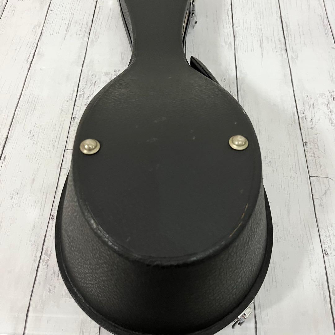 SUZUKI M-30 マンドリン 本体 ハードケース 弦 ピック付き！