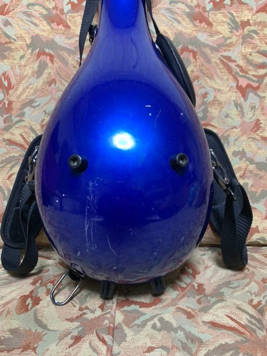 ラファエレ　カラーチェ　マンドリン　Anno19 ケース付き