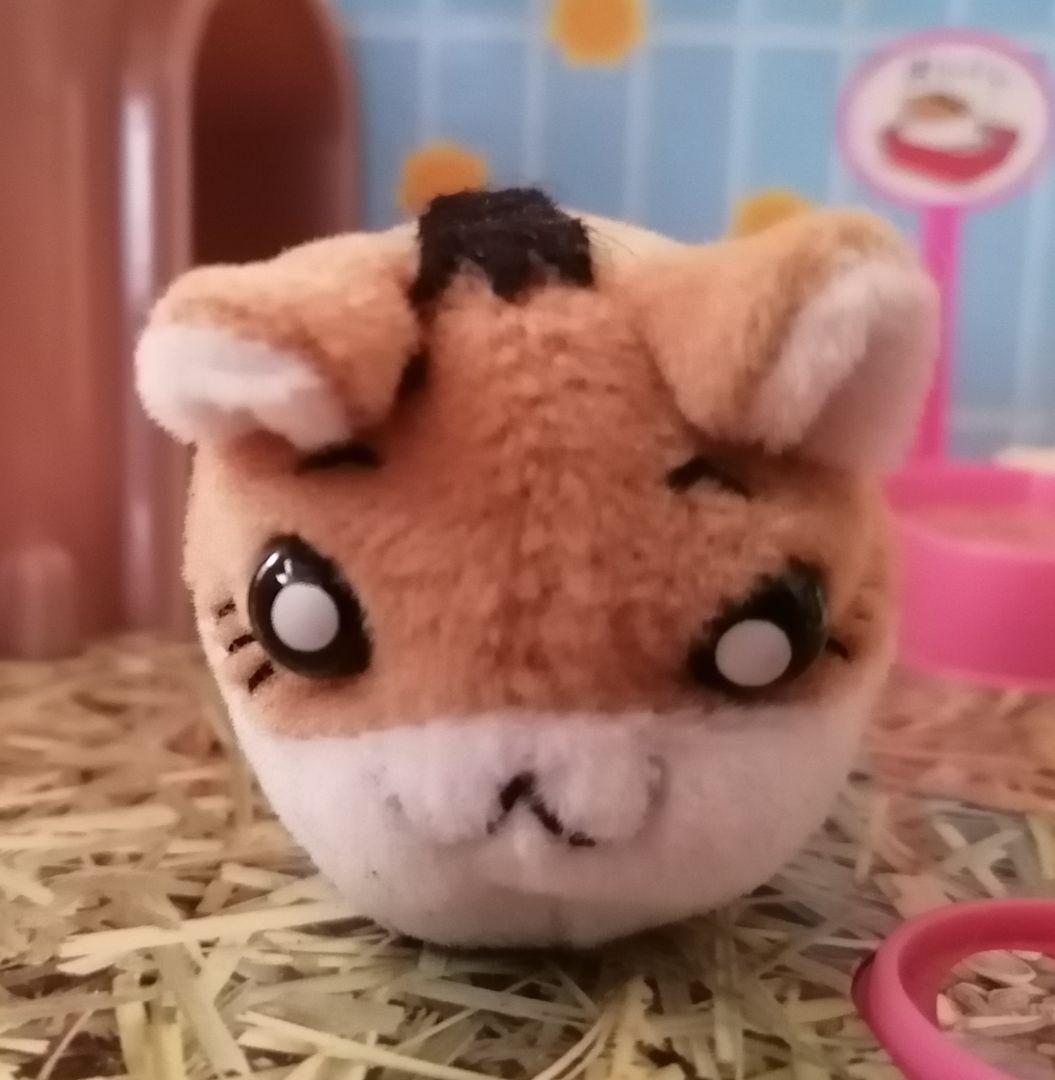 ハムスター倶楽部 ハムステージ しげっち えんどーくん