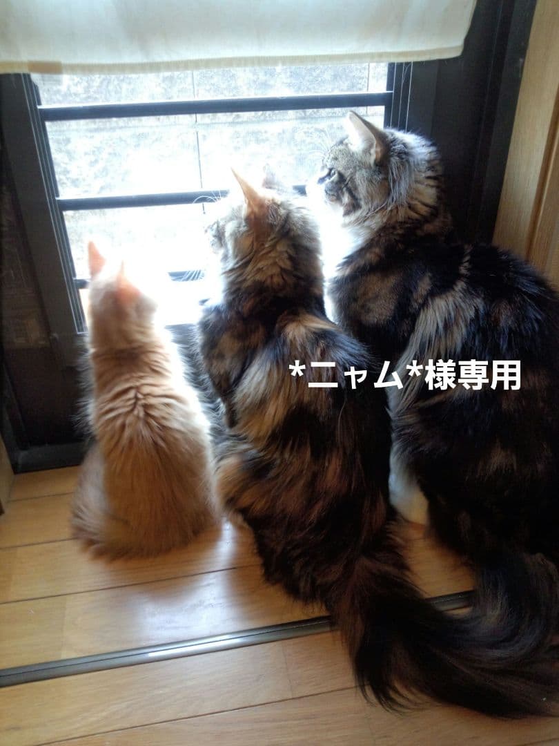 C】*ニャム*様お取り置き