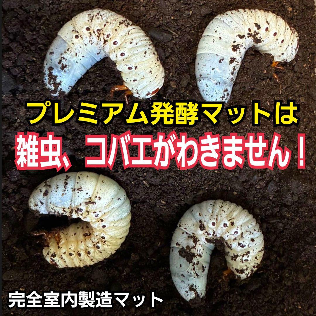 プレミアム3次発酵カブトムシマット 100リットル ヘラクレス181ミリ