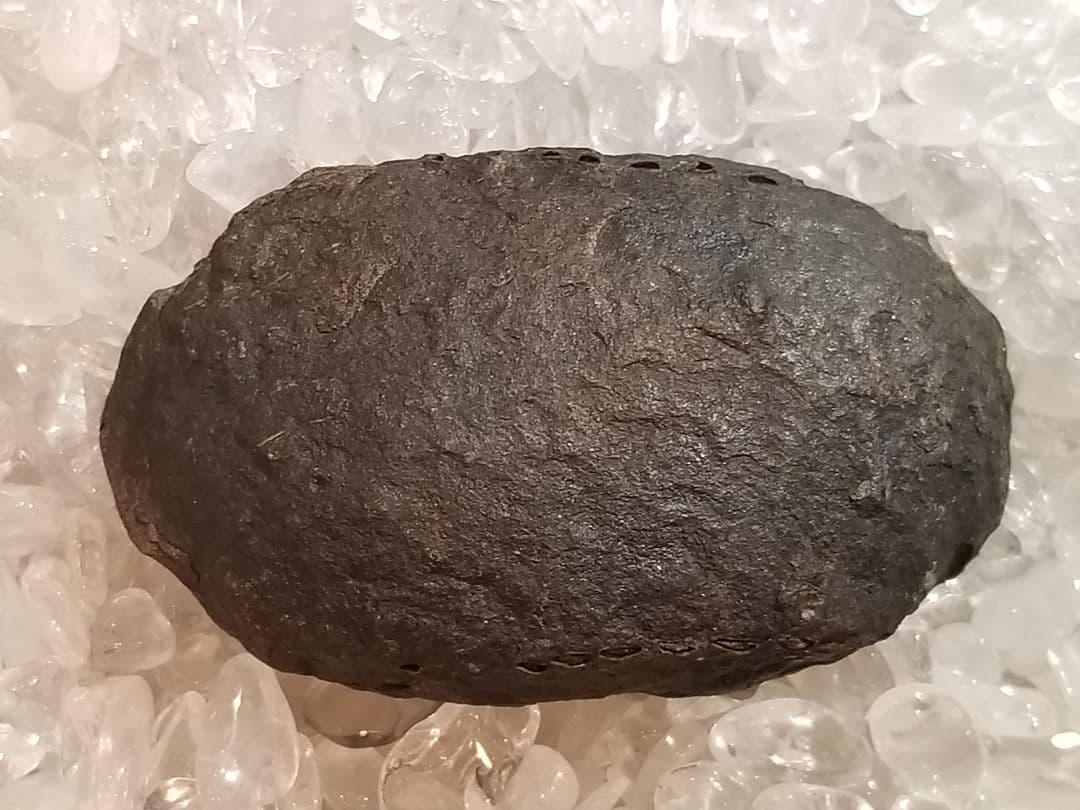 自由研究にイチオシ！】 三葉虫 〜カンブリア紀〜 『結晶化された化石