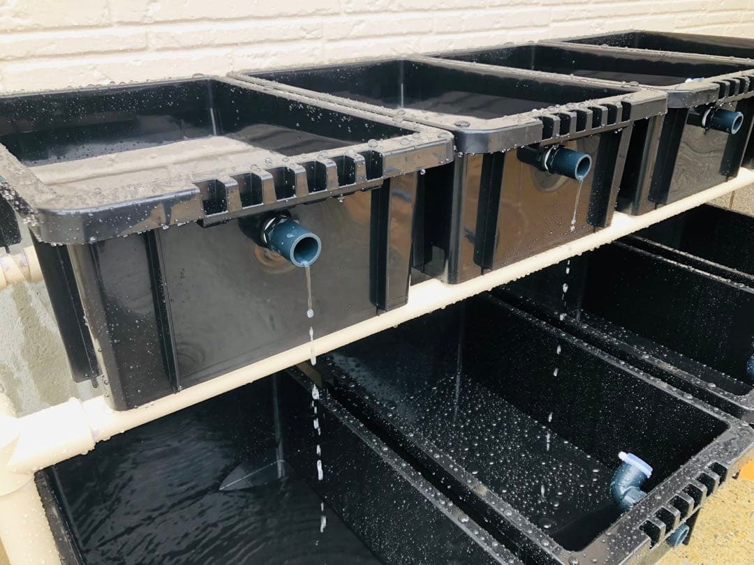 メダカ飼育ラック ブラック 2段