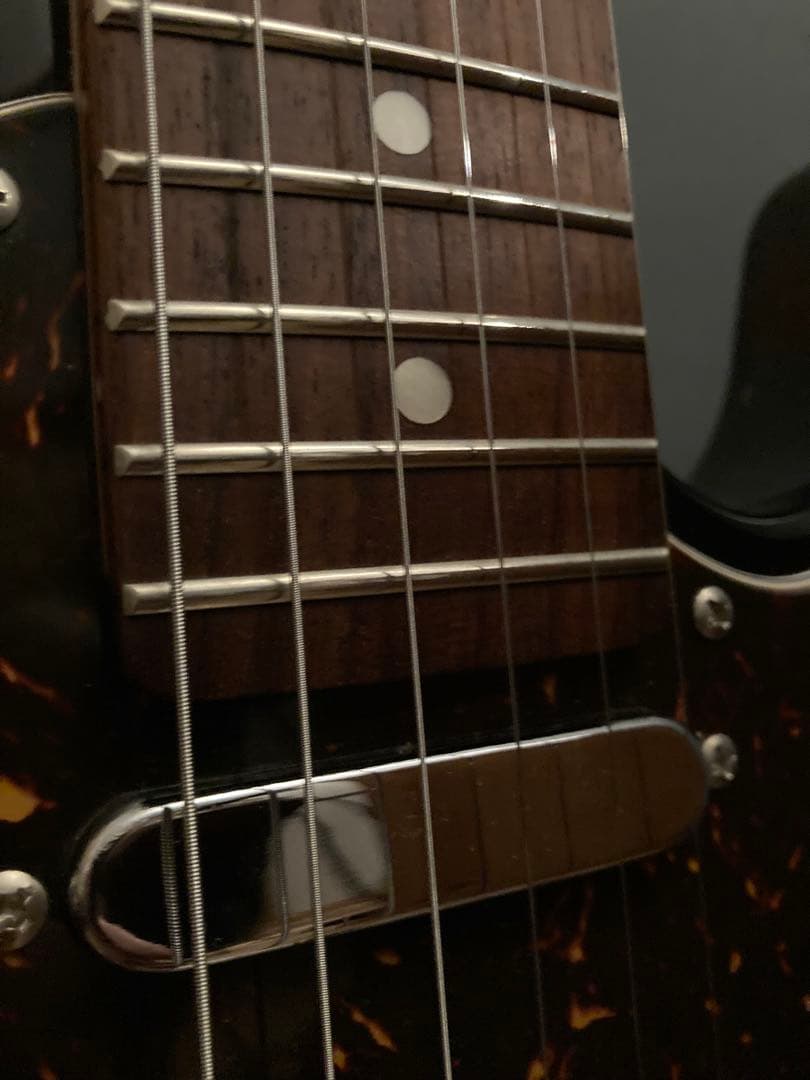 Bacchus バッカス　ユニバース　テレキャスター　クリーニング•調整済み