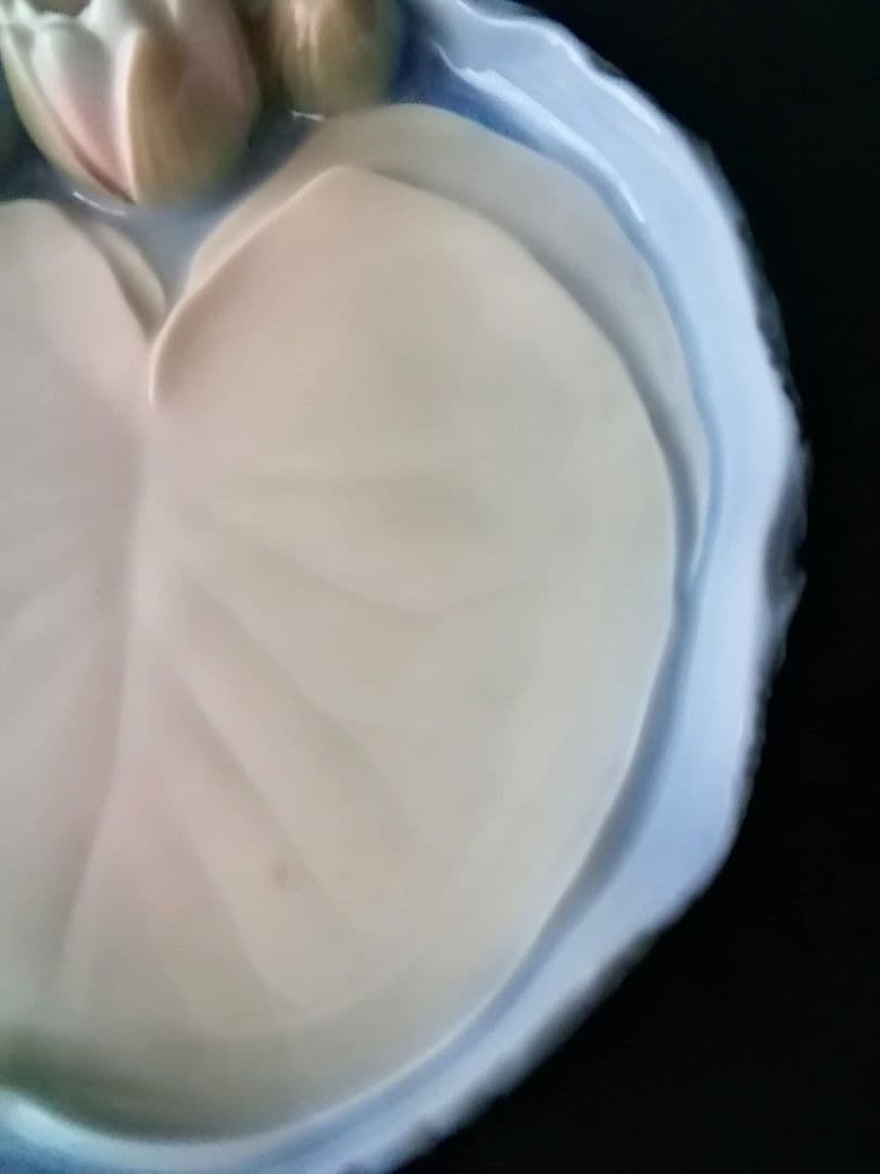 逸品　蓮の花プレート　B&G　ビング オー グレンダール　デンマーク　釉裏彩