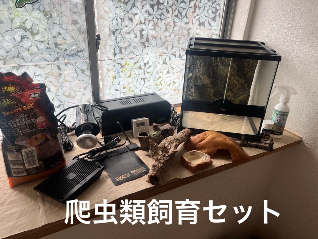 取引中】爬虫類 飼育セット