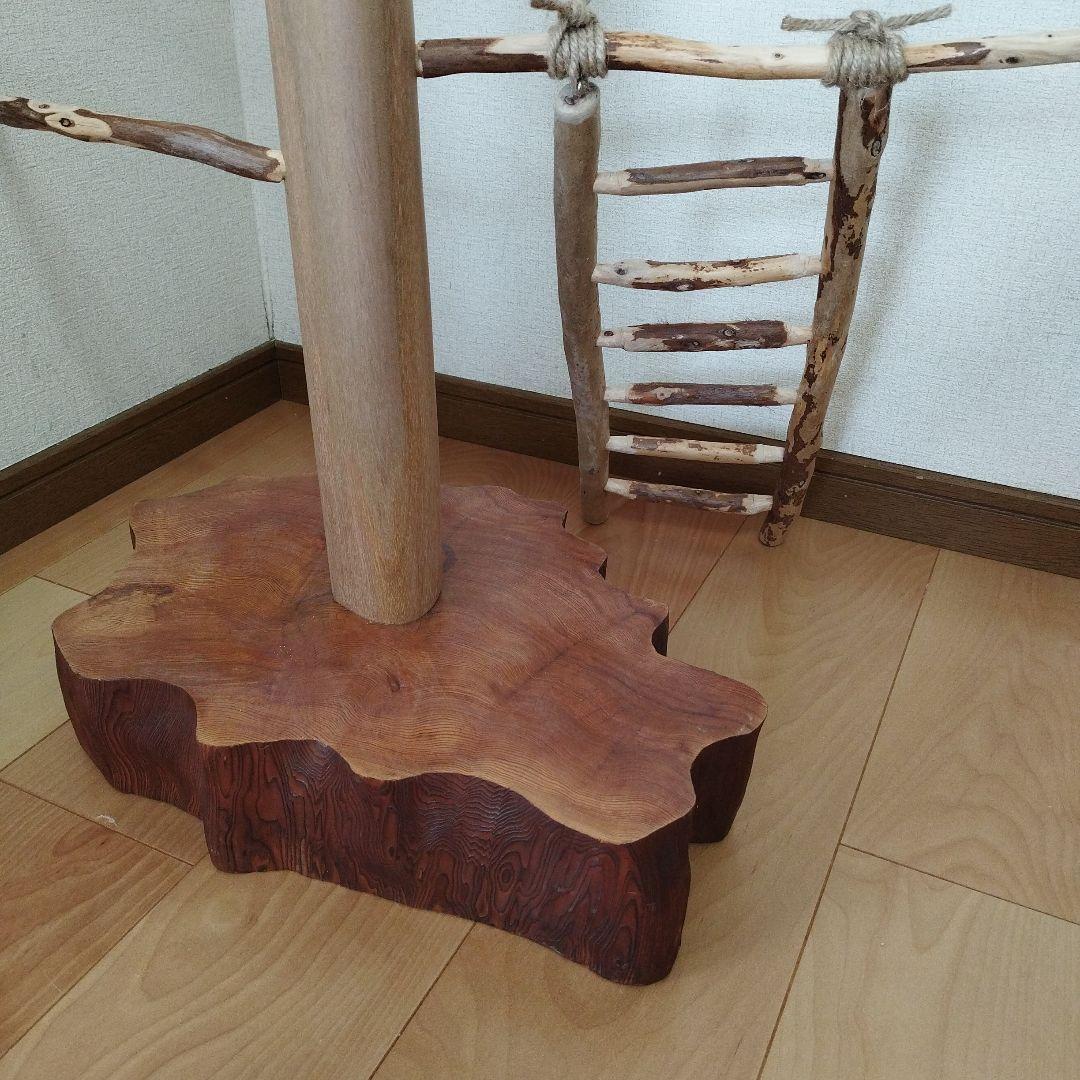 中型鳥さん用】螺旋状♬バードアスレチック