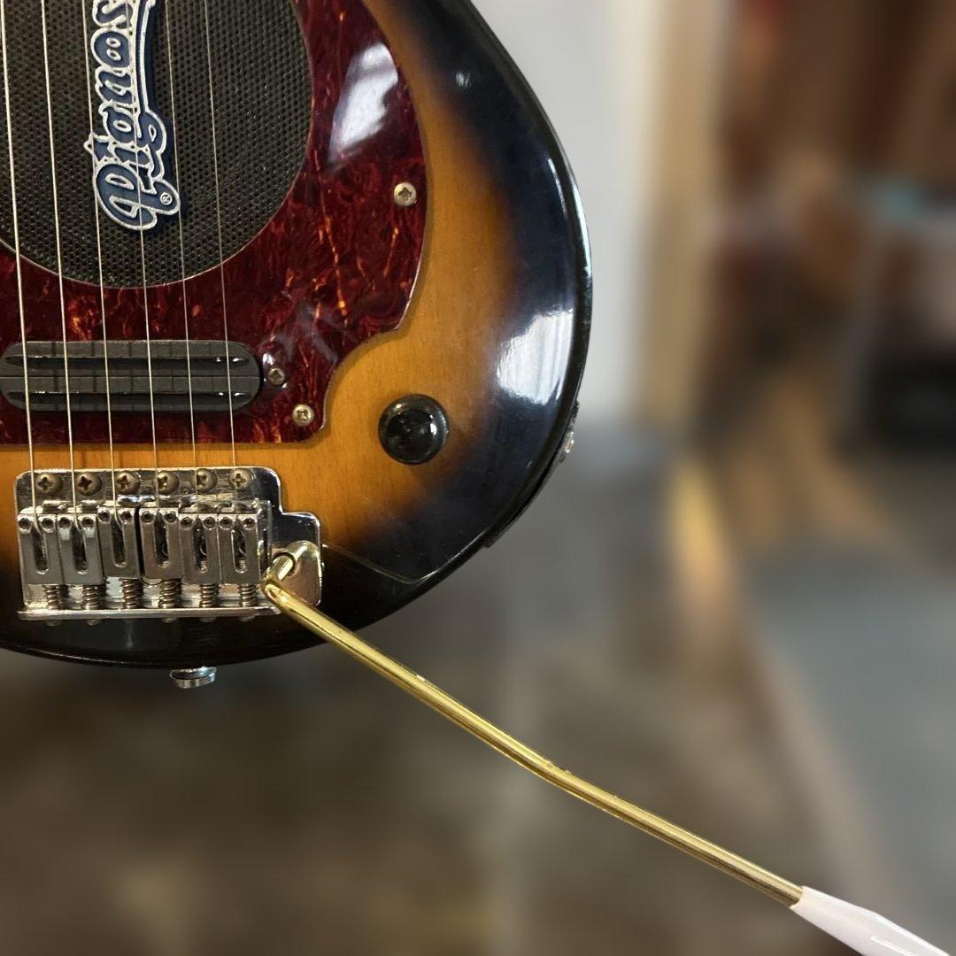 ピグノーズPGG100 サンバースト