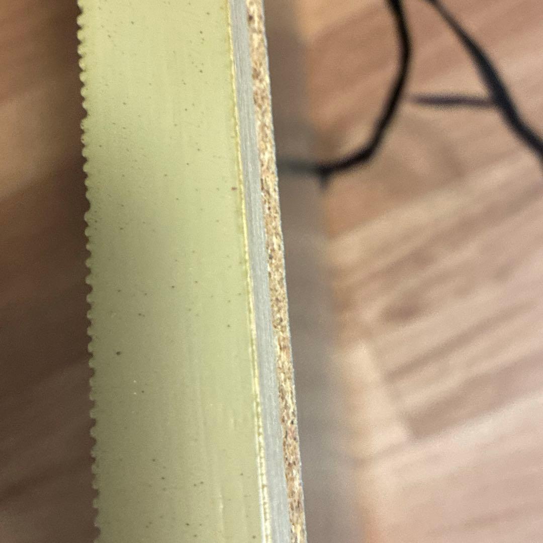 ヴィルヘルム ・ハンマースホイ　収集家　複製画