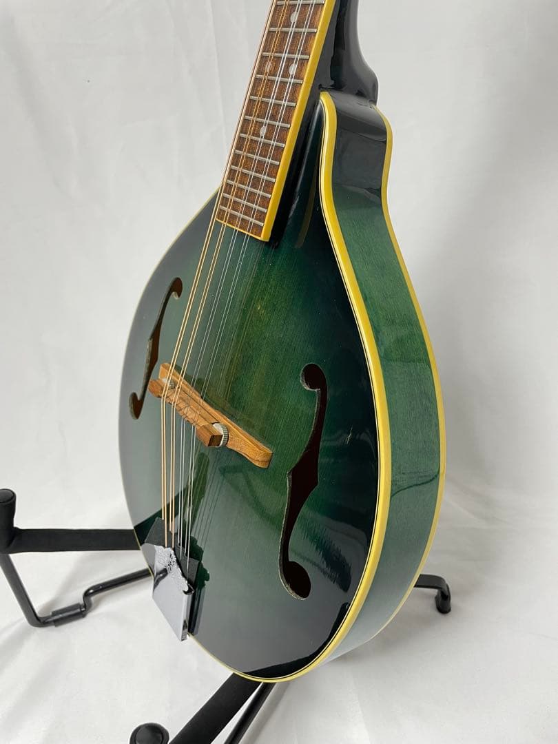 島村楽器オリジナル ポップマン フラットマンドリン