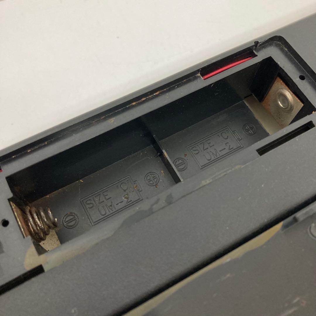 208-H ANIMATED ディズニー スチームボートウィリー 蒸気船ウィリー