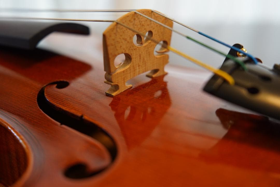 【美品】ローデリヒ・ペゾルト　バイオリン Paesold 804 4/4　☆5