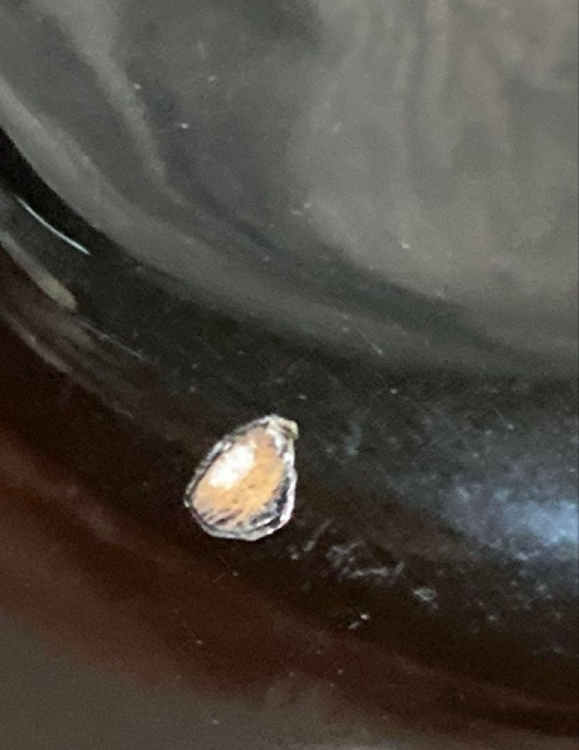 SX エレキギター サンバースト　スタンド付き　キズ有り ベルト付