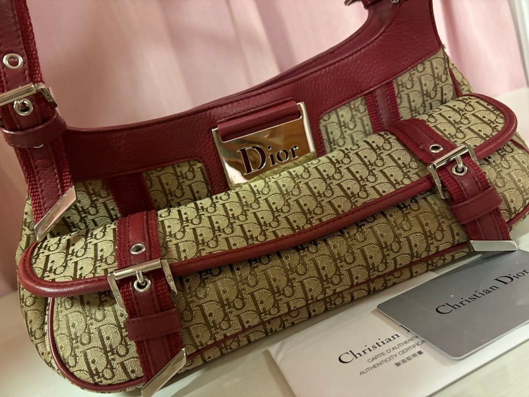 ルイスページ　Dior トロッター ストリートシック　ショルダーバッグ