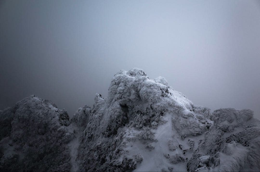 楽天市場】panasonic lumix g5 バッテリーの通販 Panasonic GM5