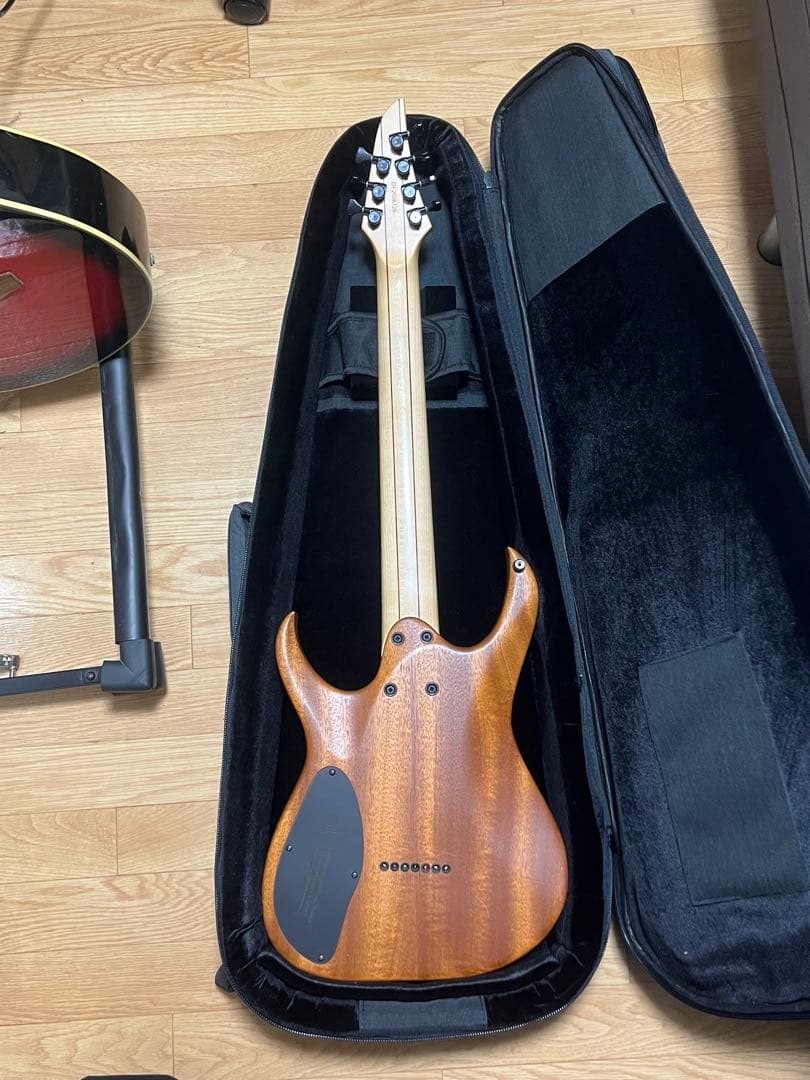 ギター Mayones Duvell Standard 7