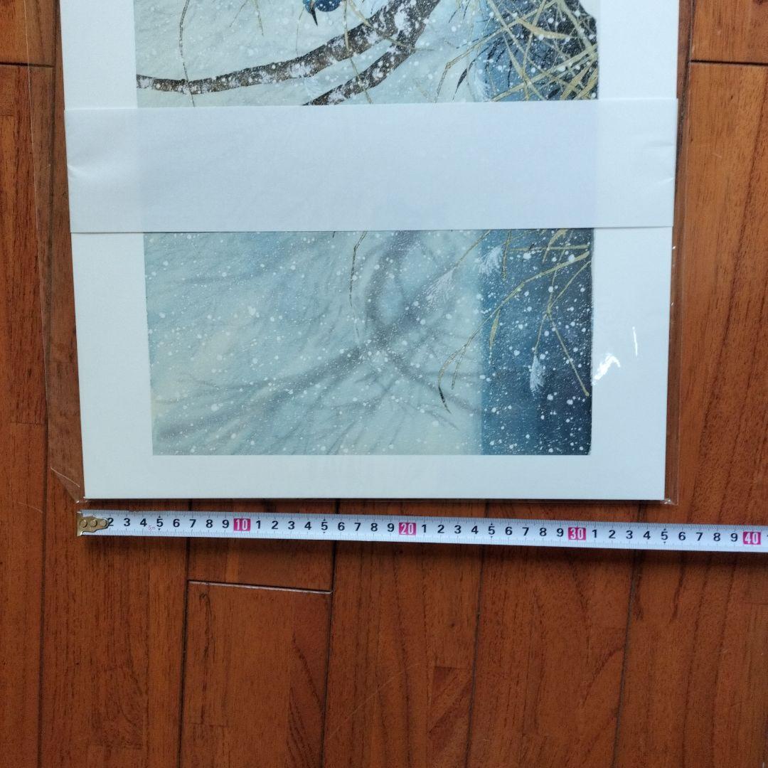 「新品未使用品」矢口高雄大原画集　悠久の時・一瞬の生命　　※釣りキチ三平