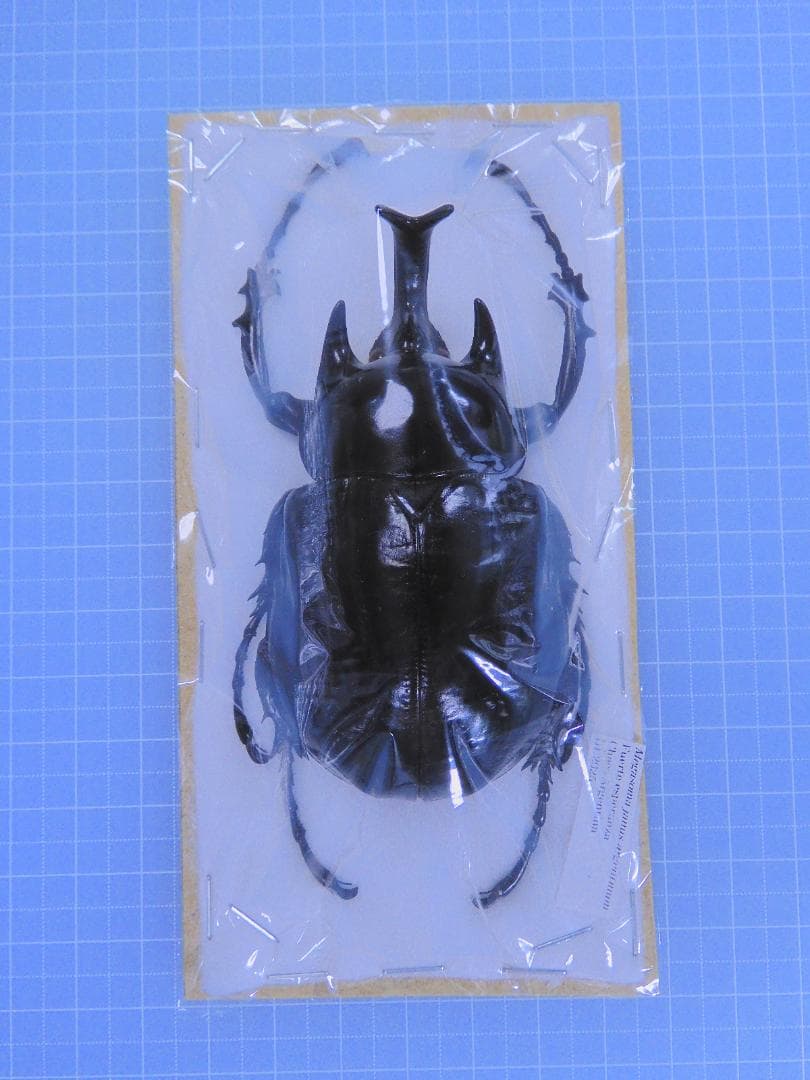 灯火採集 ライトトラップ HID 100w仕様 紫外線放出加工済