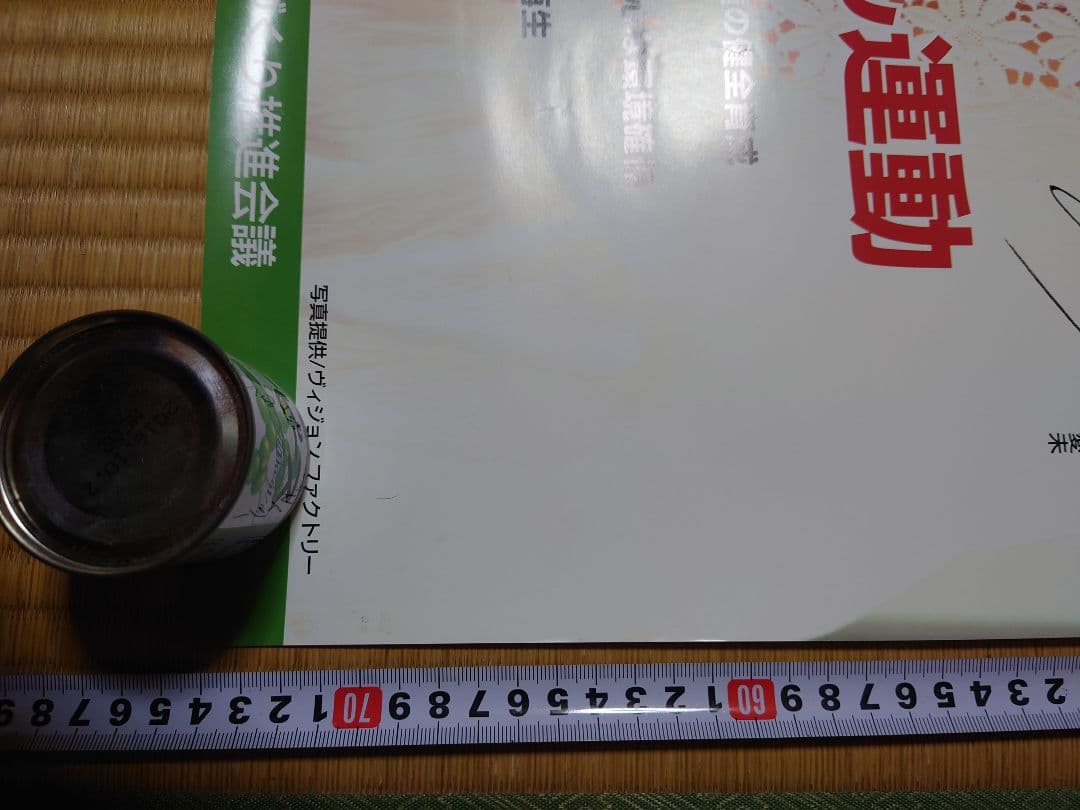 比嘉愛未 ちゅらさん運動 ポスター ★非売品★沖縄県教育委員会沖縄県警察