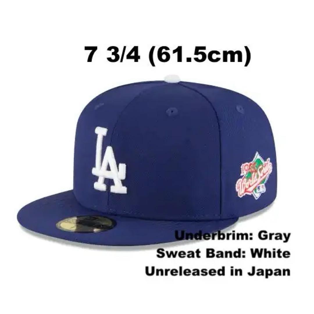 中大型水槽の主役 超ドラマティック流木 約60cm 爬虫類・両生類用