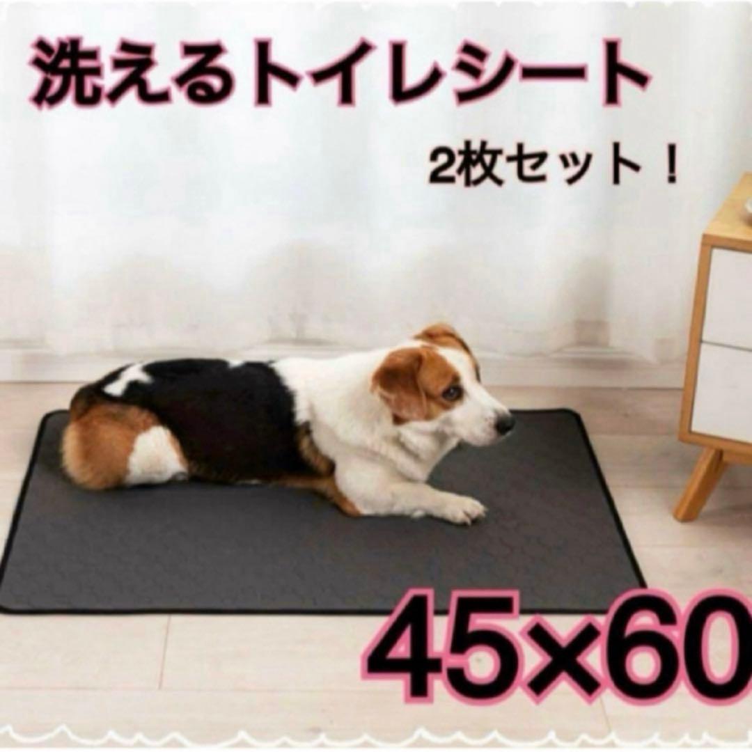 洗える防水】トイレシート 吸水速乾 犬猫マット 45×60 2枚セット
