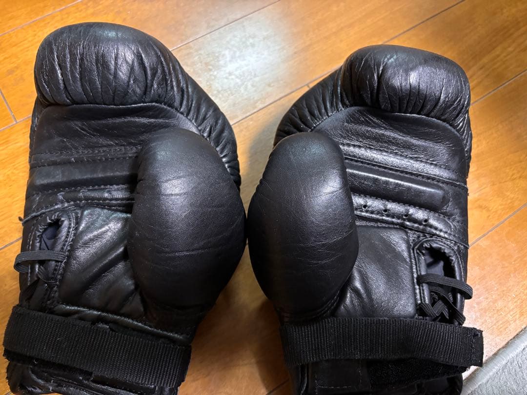 日本拳法用 渭水 徳大式グローブ L - メルカリ